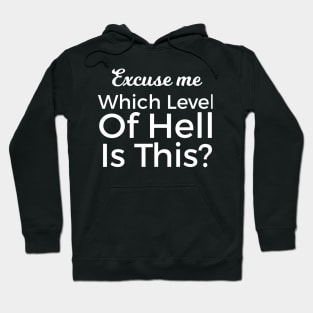 Excuse Me Which Level Of Hell Is This? Hoodie